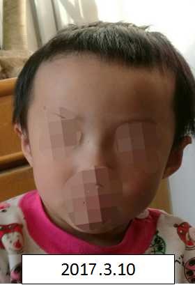 女人逼网